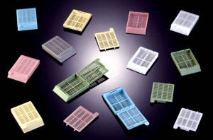 Processing & embedding tissue cassette 