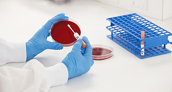 Klebsiella pneumoniae derived from ATCC BAA-1705