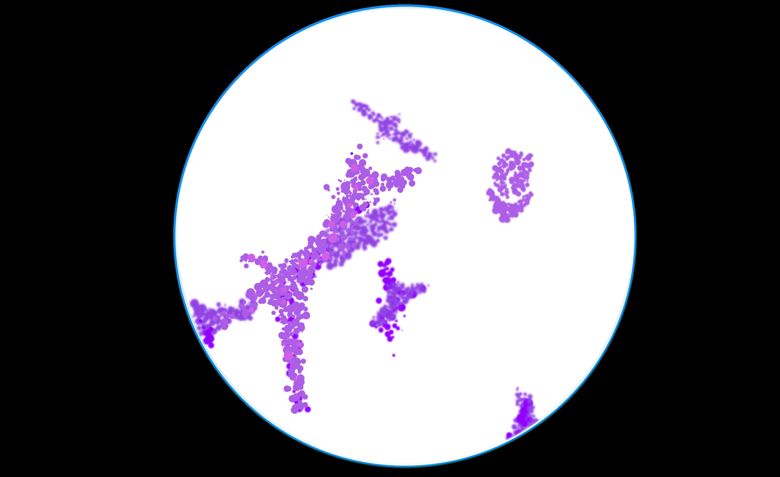 Eazyplex Candida auris