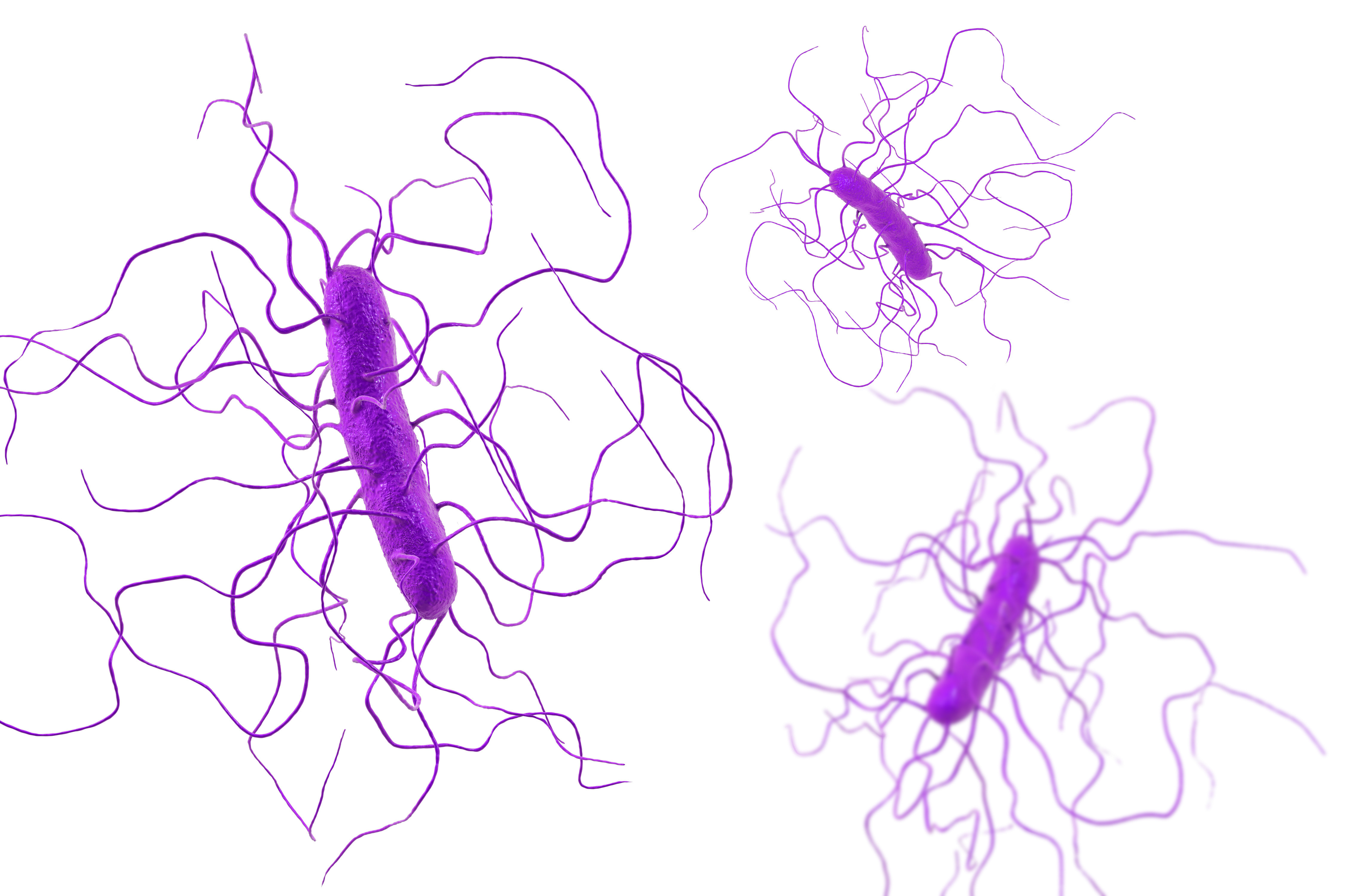 Eazyplex C. difficile 