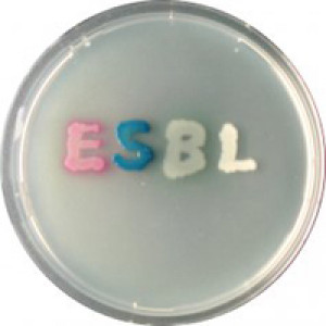 CHROMagar ESBL 5000ml + supplement