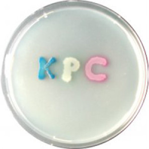 CHROMagar KPC 25 litre + supplement